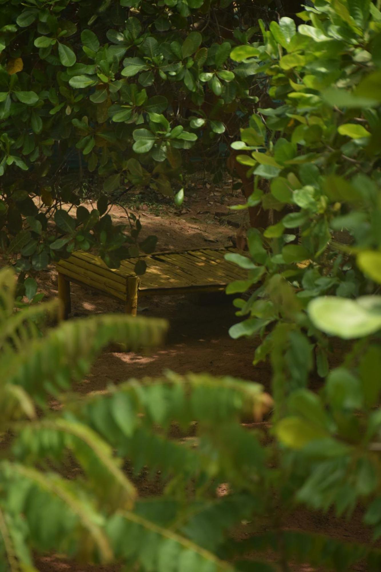 Travellers Crib Hotel Auroville Exterior photo